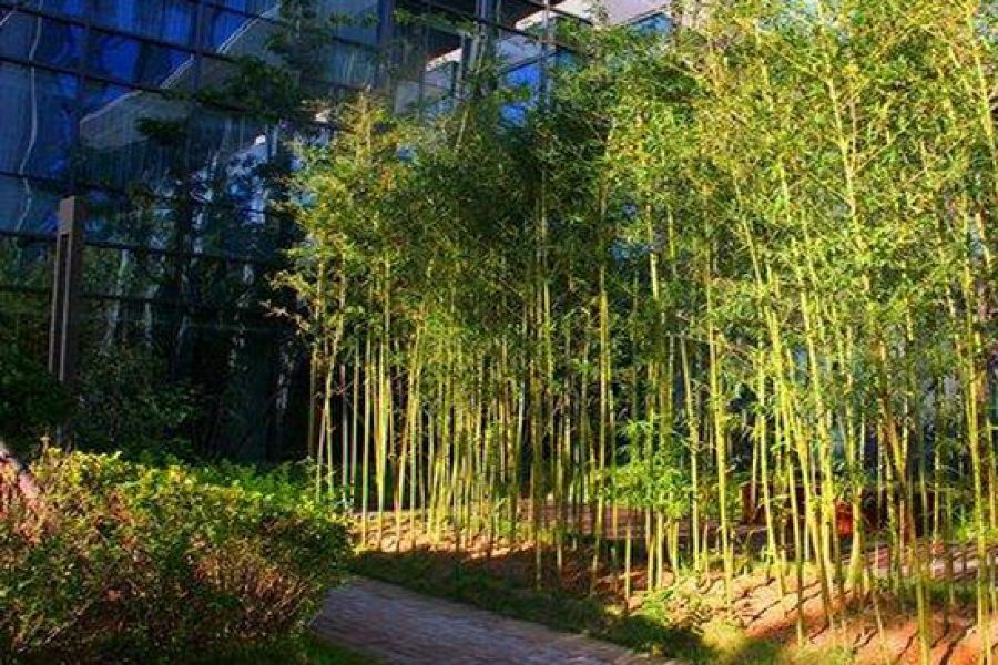 Zhongjian Yanqi Lake View Hotel Beijing Exterior photo